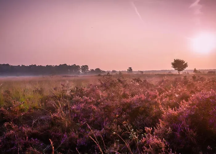 Prázdninový dům 6 6 Persoons Veluwe Met Sauna En Grillhuis *