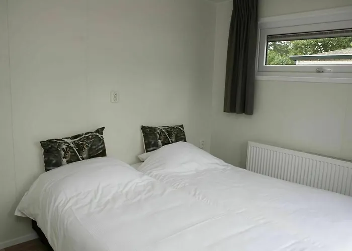 6 6 Persoons Veluwe Met Sauna En Grillhuis * Voorthuizen