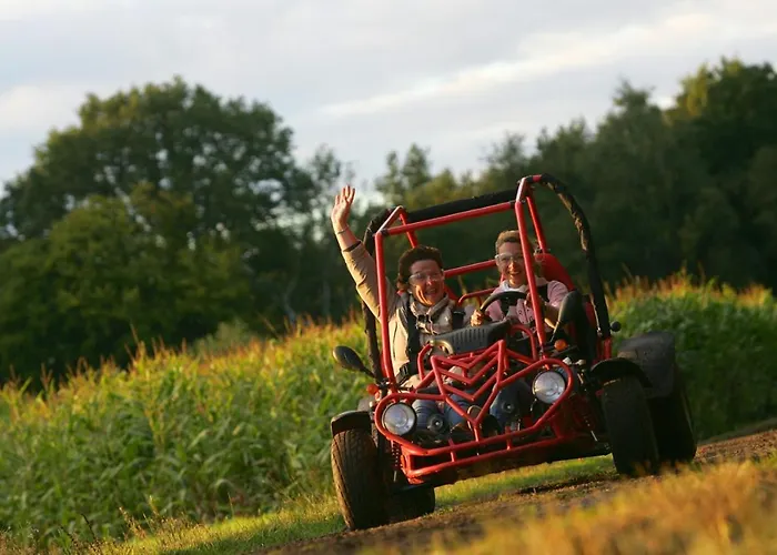 6 6 Persoons Veluwe Met Sauna En Grillhuis Prázdninový dům