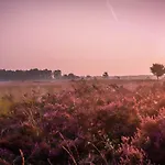 بيت للعطل 6 6 Persoons Veluwe Met Sauna En Grillhuis *