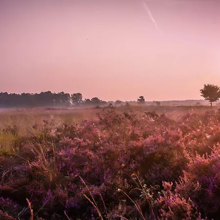 Nyaraló 6 6 Persoons Veluwe Met Sauna En Grillhuis *